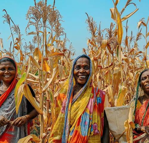 Rising Global Success Story